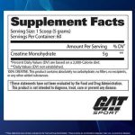 Gat Creatina Monohidratada X 300 Gramos / 60 srv